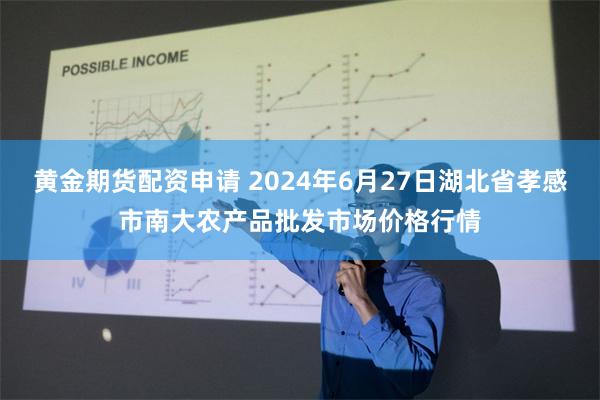 黄金期货配资申请 2024年6月27日湖北省孝感市南大农产品批发市场价格行情