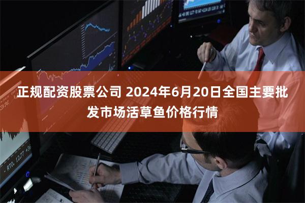 正规配资股票公司 2024年6月20日全国主要批发市场活草鱼价格行情